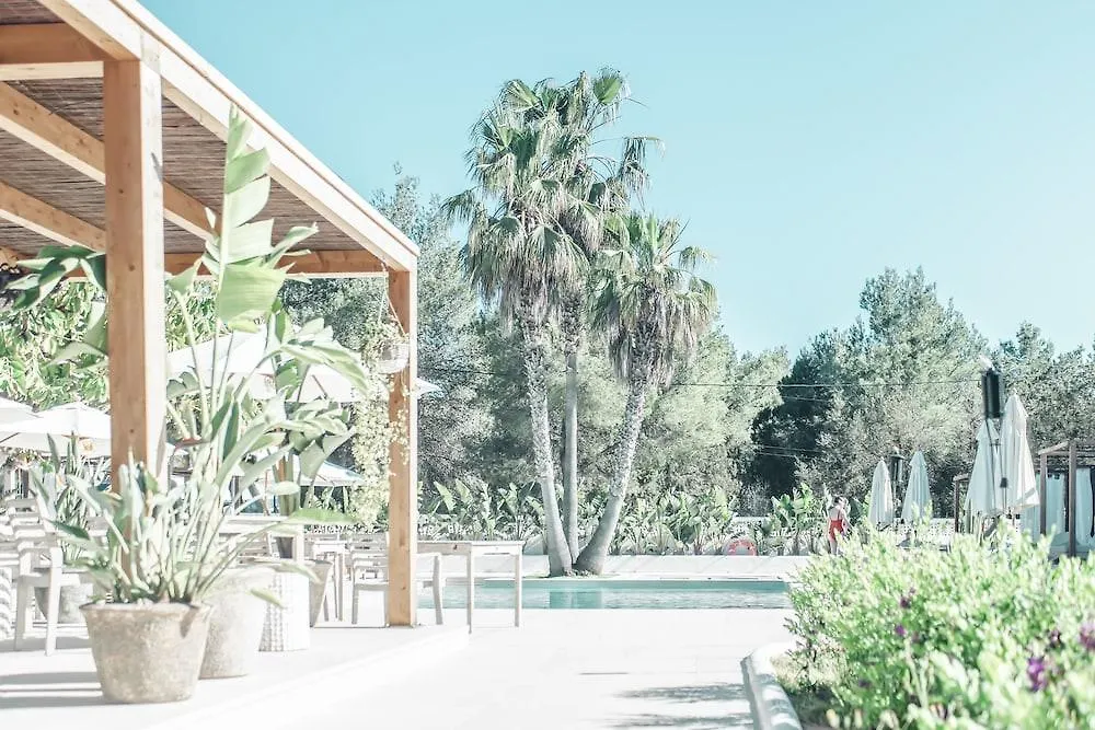 Hotel Boutique & Spa Las Mimosas Ibiza (Adults Only) San Antonio